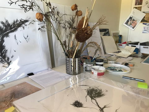 Sandra Blackburne Art Studio And Gallery - Sunshine Coast Tourism 1