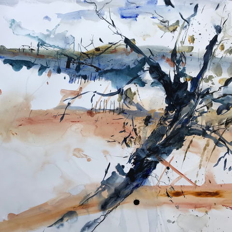 Sandra Blackburne Art Studio And Gallery - Sunshine Coast Tourism 2