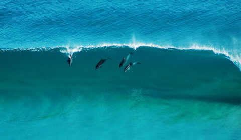 Sand Patch - Sunshine Coast Tourism 1