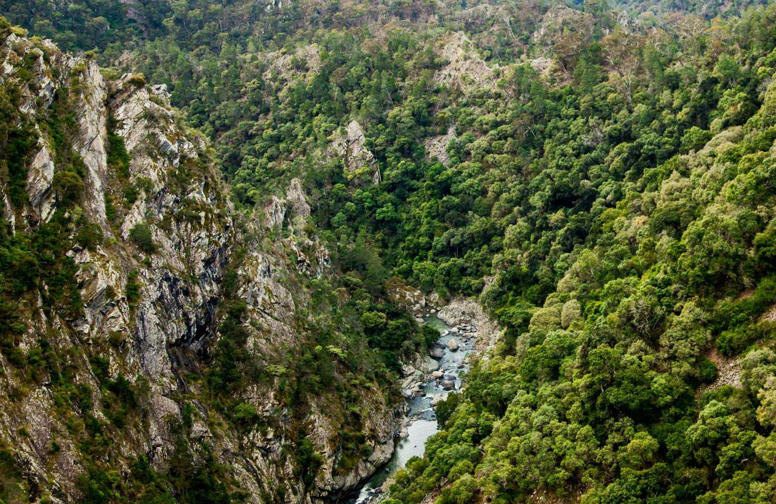  Sunshine Coast Tourism