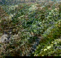 Tiara Walking Track - Sunshine Coast Tourism