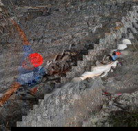 Small-Group Weekend Rock Climbing Adventure from Katoomba - Holiday Sunshine Coast