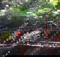 Glow Worm Tunnel Hike - Holiday Sunshine Coast