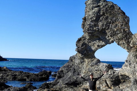 Narooma And Tilba Valley Private Tour - Sunshine Coast Tourism 4