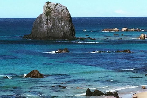 Narooma And Tilba Valley Private Tour - Sunshine Coast Tourism 9