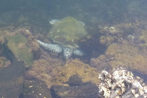 Sawtell To Coffs Harbour Bike Ride - Sunshine Coast Tourism 4