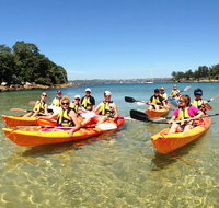 3 Beaches Kayak Tour with Lunch in Manly - 4 Hours - Sunshine Coast Tourism