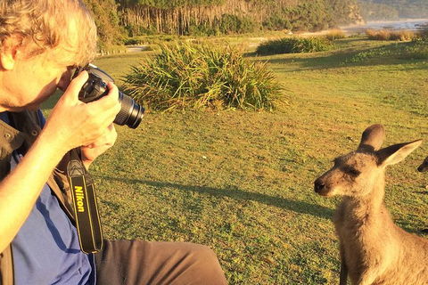 Highlights Of The Eurobodalla (half Day Private Tour) - Holiday Sunshine Coast 2