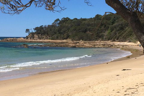Highlights Of The Eurobodalla (half Day Private Tour) - Holiday Sunshine Coast 5