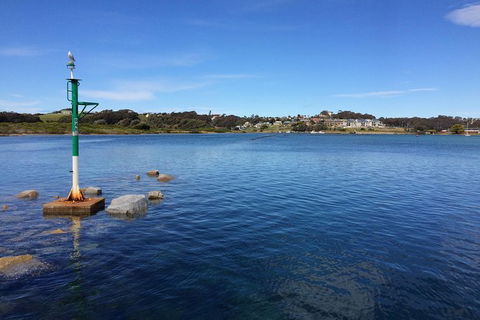 Highlights Of The Eurobodalla (half Day Private Tour) - Holiday Sunshine Coast 14