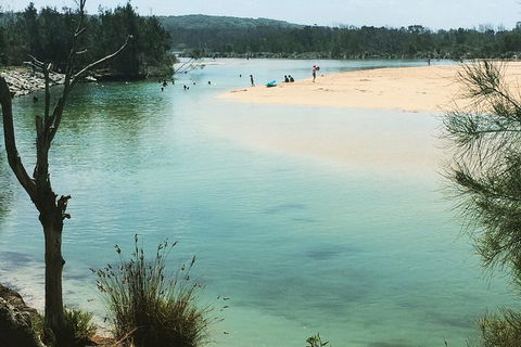 Highlights Of The Eurobodalla (half Day Private Tour) - Holiday Sunshine Coast 6