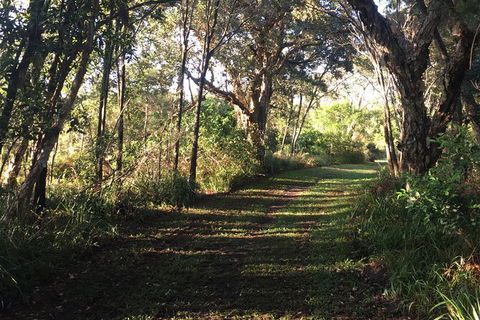 Coffs Harbour To Sawtell Bike Ride - Sunshine Coast Tourism 7