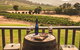 Ivanhoe Wines: Trip Advisor Wine Masterclass With Cheese Plate - thumb 5