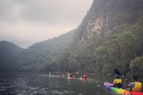Kayak Camping Adventure To Marramarra Orchard - Holiday Sunshine Coast 16