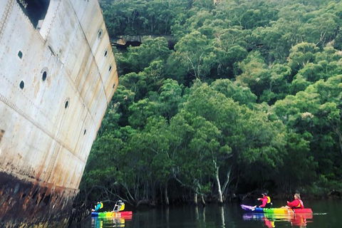 Kayak Camping Adventure To Marramarra Orchard - Holiday Sunshine Coast 20