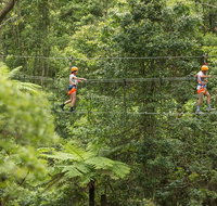 Illawarra Fly Treetop Adventures Admission Including Zipline Tour - Sunshine Coast Tourism