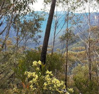 Blue Mountains - Sunshine Coast Tourism