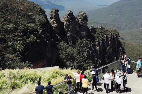 Eht Vip Transport And Airport Transfers And Lux Door To Door Service - Holiday Sunshine Coast 5