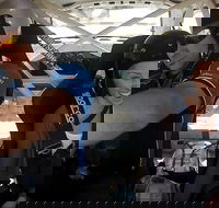 Hunter Valley 3 Hotlap Ride in a Rally Car - Sunshine Coast Tourism