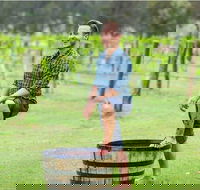 Hunter Valley Grape Stomping - Sunshine Coast Tourism