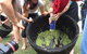 Hunter Valley Grape Stomping - thumb 3