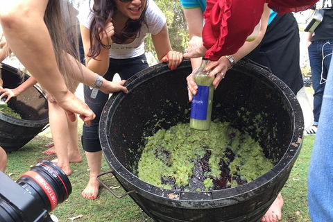 Hunter Valley Grape Stomping - Sunshine Coast Tourism 3