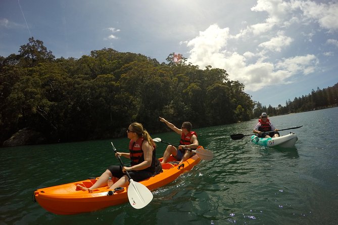 Sydney NSW Sunshine Coast Tourism