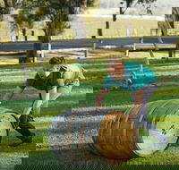 Hunter Valley Wine Barrel Rolling - Sunshine Coast Tourism