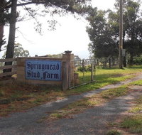 Interactive farm tours on a beef lamb and duck farm - Sunshine Coast Tourism