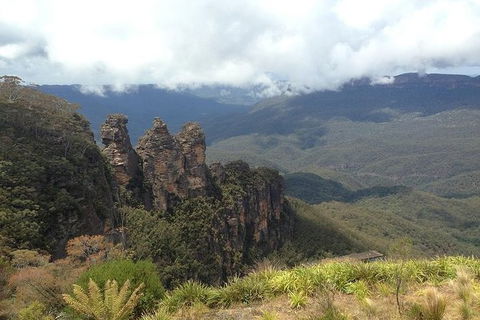 All-Inclusive Blue Mountains Tour In A Luxury Mercedes Sprinter - Sunshine Coast Tourism 3