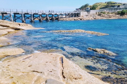 Sydney Sightseeing Tour In A Luxury Mercedes-Benz People Mover - Sunshine Coast Tourism 3