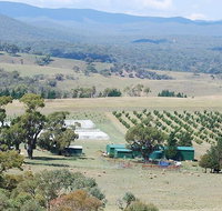 Truffle Hunt and Luncheon - Sunshine Coast Tourism