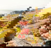 Six hour - plan your own wine and cheese tour Hunter Valley - Sunshine Coast Tourism