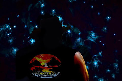 Night 4WD & Guided Glow Worm Tour Wildlife Spotlighting Blue Mountains Adventure - Sunshine Coast Tourism 0
