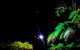 Night 4WD & Guided Glow Worm Tour Wildlife Spotlighting Blue Mountains Adventure - thumb 8