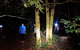 Night 4WD & Guided Glow Worm Tour Wildlife Spotlighting Blue Mountains Adventure - thumb 5