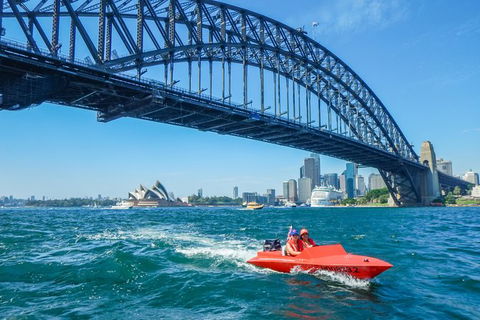 Sydney Speed Boat Adventure Harbour Tour - Sunshine Coast Tourism 3