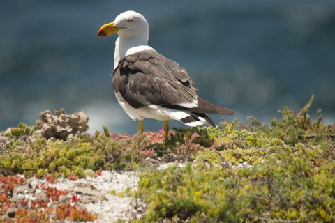 From The Mountains To The Bay - 4 Day Rediscovery Small Group Tour - Holiday Sunshine Coast 5