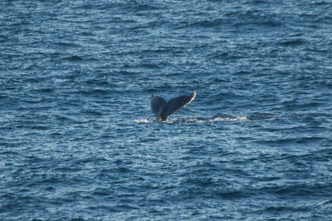 From The Mountains To The Bay - 4 Day Rediscovery Small Group Tour - Holiday Sunshine Coast 8