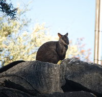 From the Mountains to the Bay - 4 Day Rediscovery Small Group Tour - Sunshine Coast Tourism