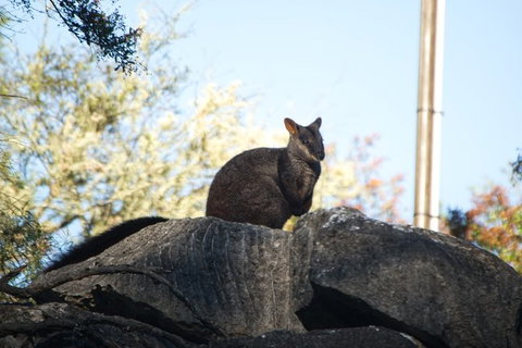 From The Mountains To The Bay - 4 Day Rediscovery Small Group Tour - Holiday Sunshine Coast 0