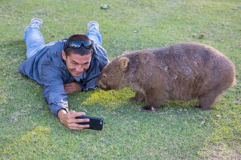 From The Mountains To The Bay - 4 Day Rediscovery Small Group Tour - Holiday Sunshine Coast 1