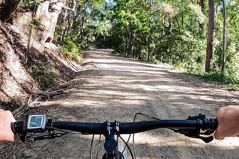 Guided E Bike Tour - Lush Hinterland & Secret Beaches - Sunshine Coast Tourism 12