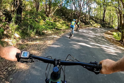 Guided E Bike Tour - Lush Hinterland & Secret Beaches - Sunshine Coast Tourism 9