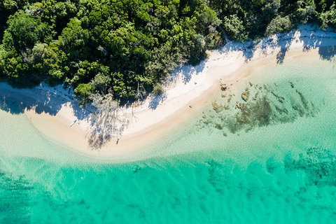 Guided E Bike Tour - Lush Hinterland & Secret Beaches - Sunshine Coast Tourism 6