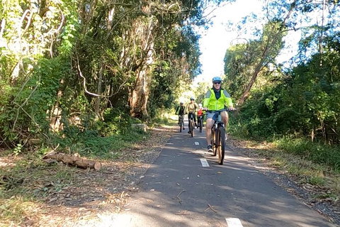Guided E Bike Tour - Lush Hinterland & Secret Beaches - Sunshine Coast Tourism 10