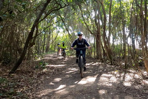 Guided E Bike Tour - Lush Hinterland & Secret Beaches - Sunshine Coast Tourism 8