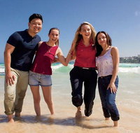 3.5 Hours Explore Bondi Beach and Sydney Sightseeing Tour - Sunshine Coast Tourism