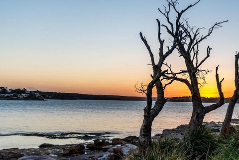 Full-Day Kiama Coast And The Royal National Park Guided Tour - Sunshine Coast Tourism 0