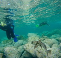 Manly and Shelly Beach Snorkeling Tour - Sunshine Coast Tourism